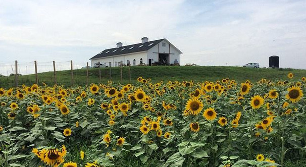 LCCB Farm brew Anniversary